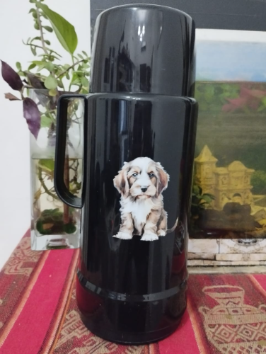 141 termo negro invicta lumilagro